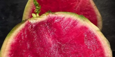 Crvena rotkvica: koristi i štete